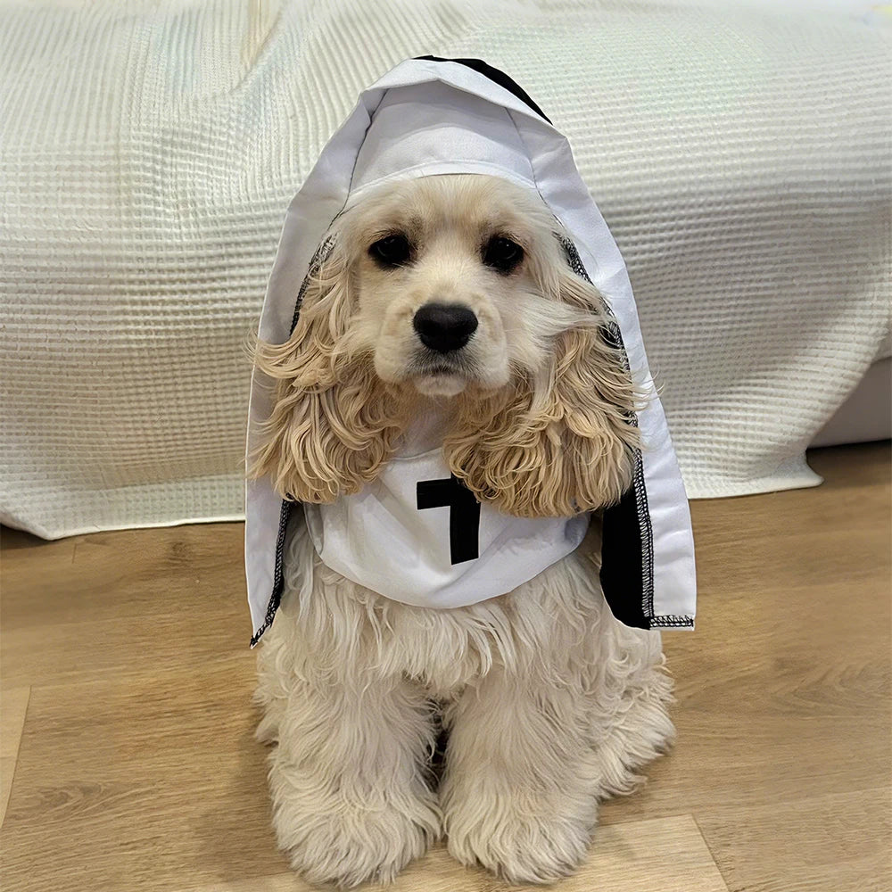 Holy Pet Costume™